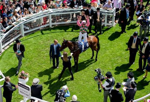 What is the Winners Enclosure?