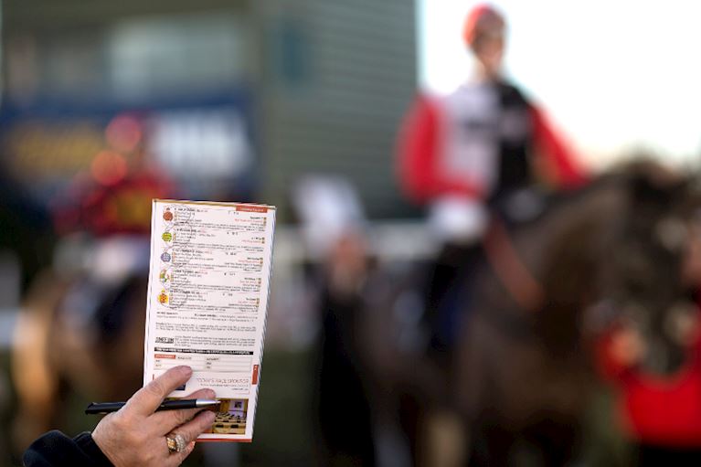 What is a racecard?