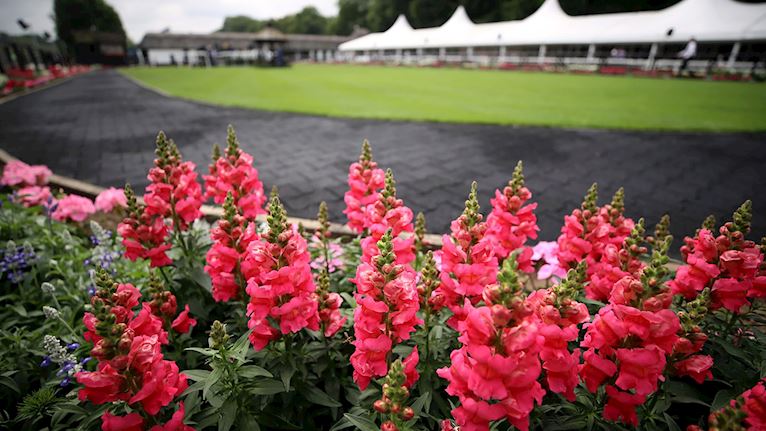 July Festival Virtual Backgrounds