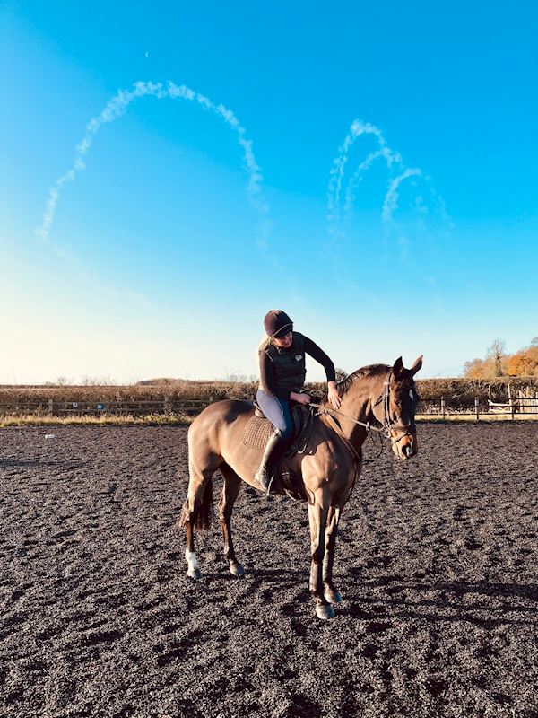 Introdcing our Horses for Courses Ambassador…Hally’s Kitchen!