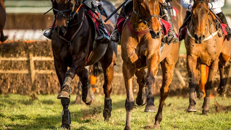 Ocean Downs Racing Schedule 2022 Haydock Park Racecourse | 2022 | Haydock