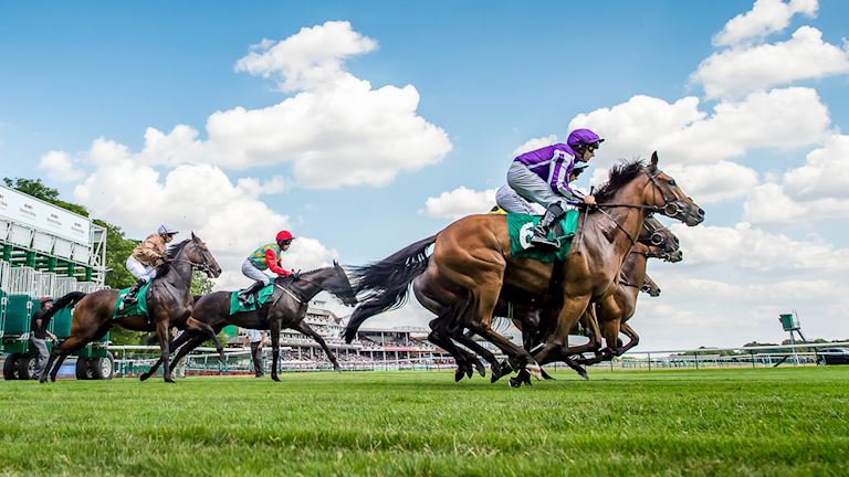 Ocean Downs Racing Schedule 2022 Haydock Park Racecourse | 2022 | Haydock