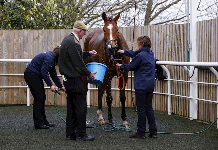 Stable Staff & Stabling