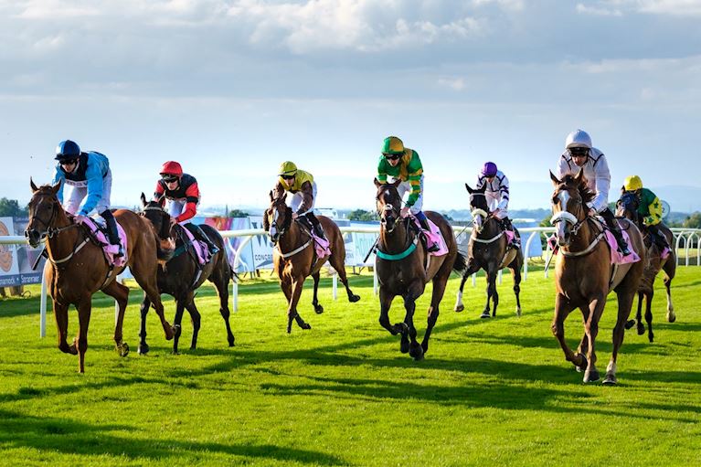 Everything you need to know about jockeys