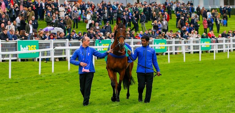 Cue Card: A New Chapter