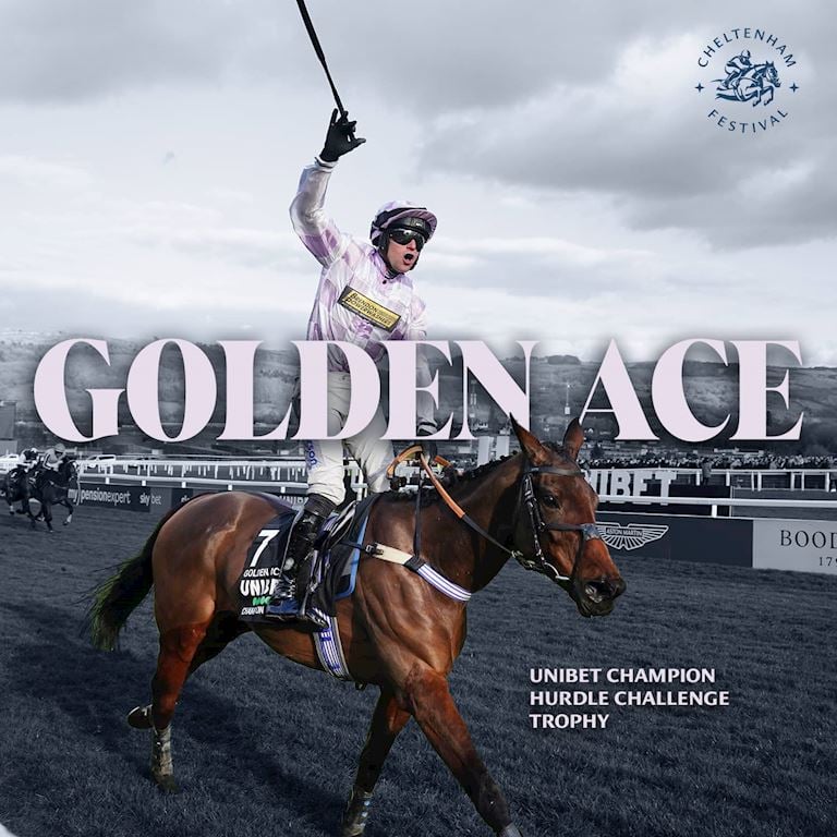 GOLDEN ACE WINNER 1500x1500 (1).jpg