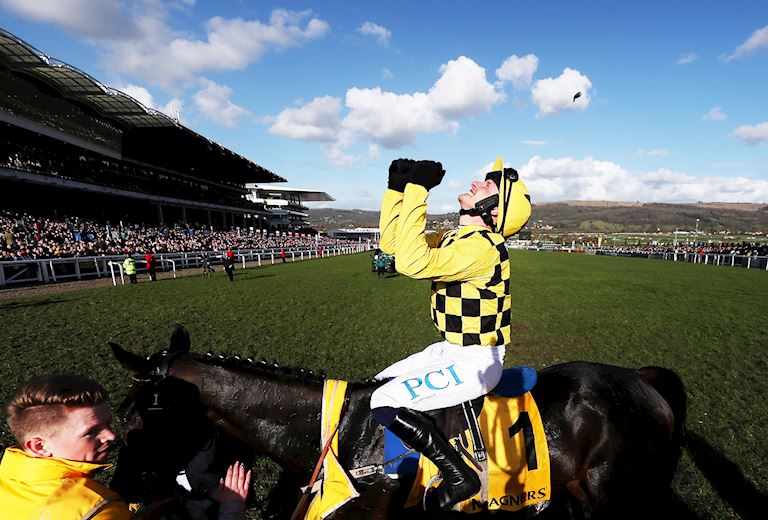 The Cheltenham Gold Cup Steeple Chase