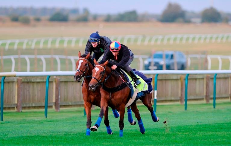 Robert Havlin on Enable