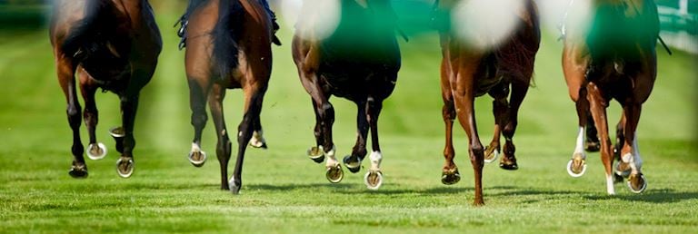 Huntingdon Racecourse Committee Members