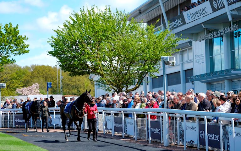 The Parade Ring