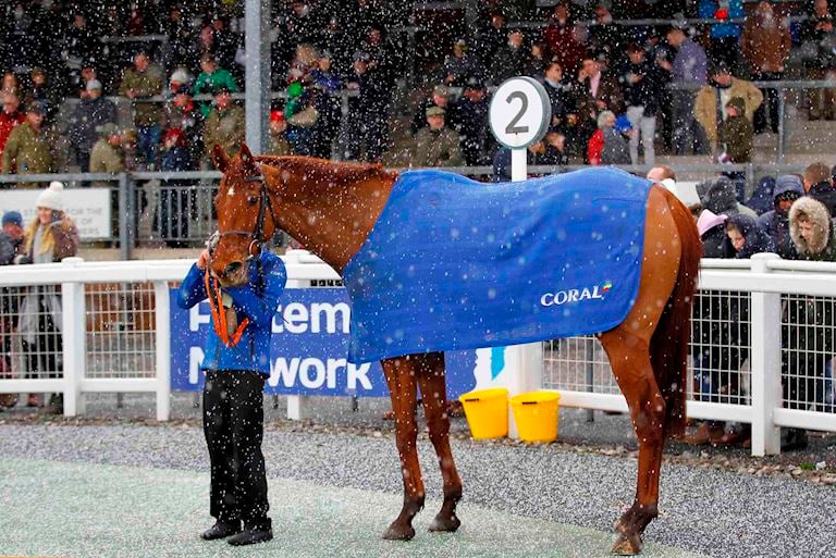 A Midweek Treat at Exeter Racecourse