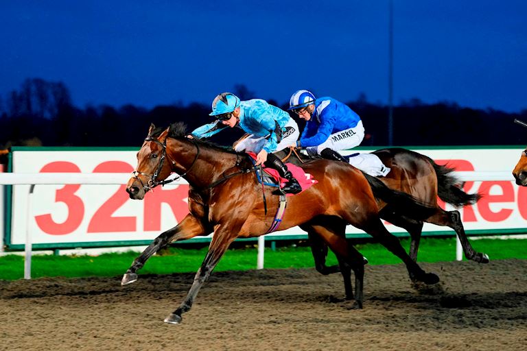 Floodlit Flat Racing 