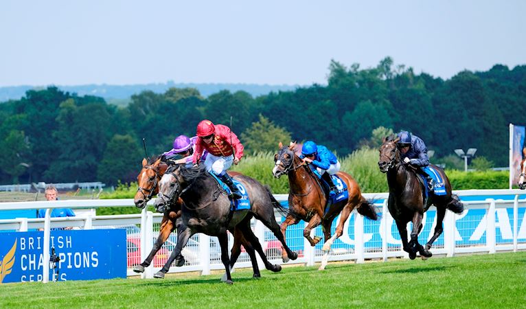 Sandown Park FAQs