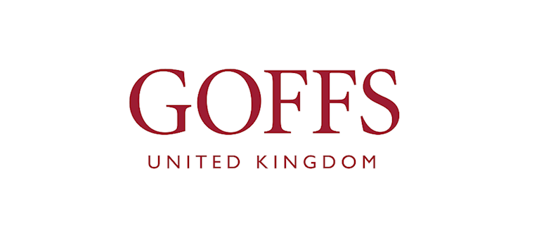 aintree-racecourse-Goffs-logo.png