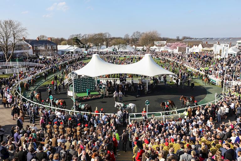 The Parade Ring