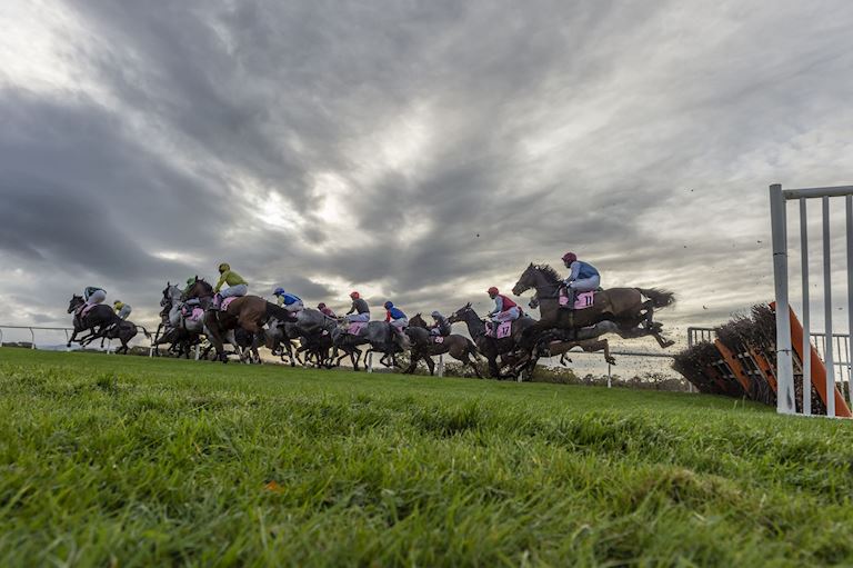 What's on at Carlisle Racecourse