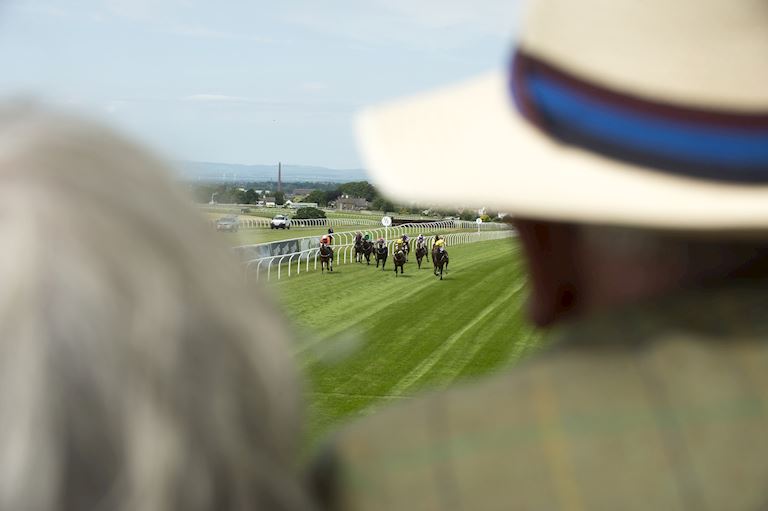 Senior Racegoers