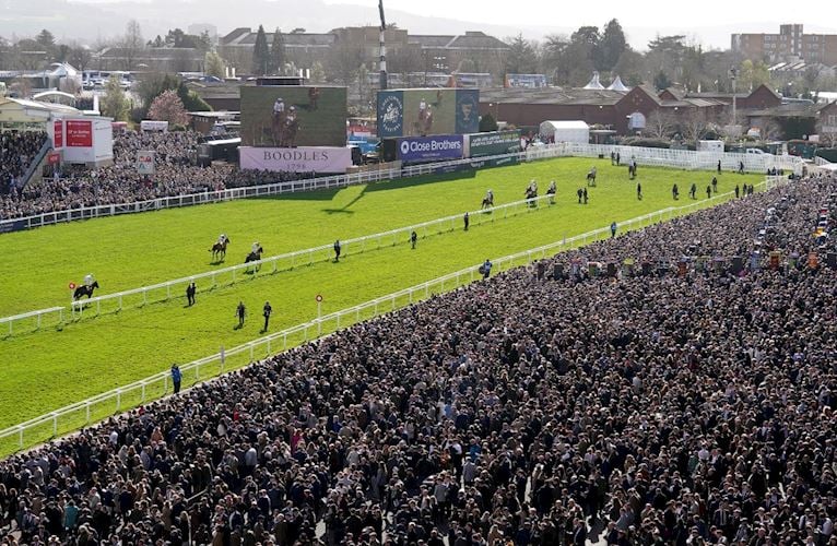 Racecourse View