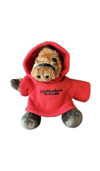 Red Teddy.png