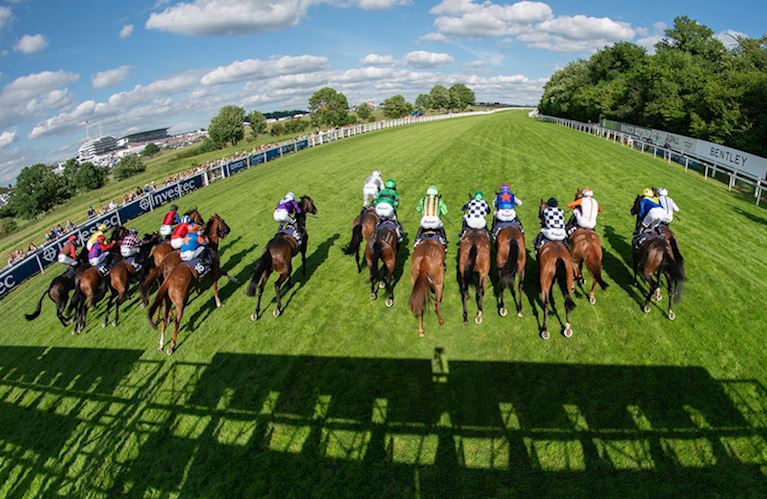 Media Accreditation at Epsom Downs