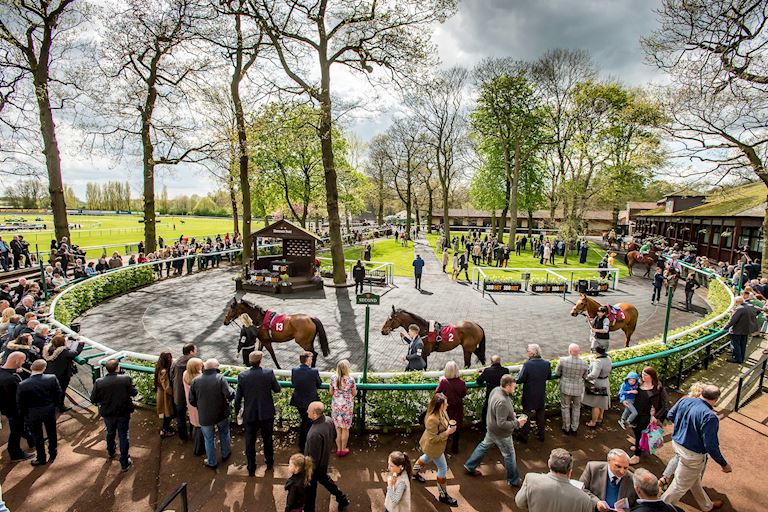 The Parade Ring