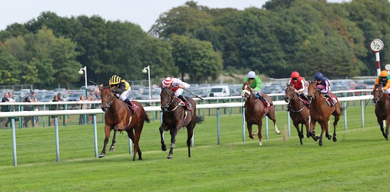 ZOUKY PLUS KHANJAR STRENGTHENS AYR GOLD CUP CLAIMS