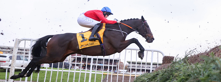 A PLUS TARD THE 1-2 FAVOURITE AS ENTRIES REVEALED FOR GRADE ONE BETFAIR CHASE 