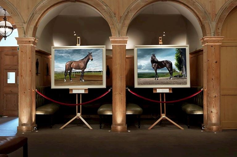 Exhibitions at The Jockey Club Rooms