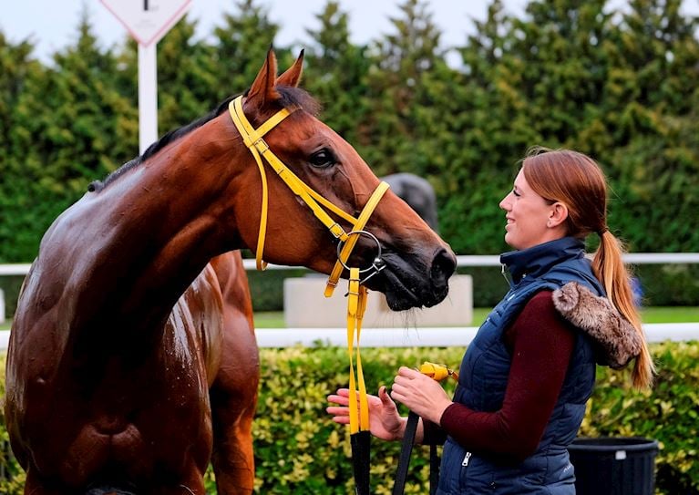 Kempton Stabling Information