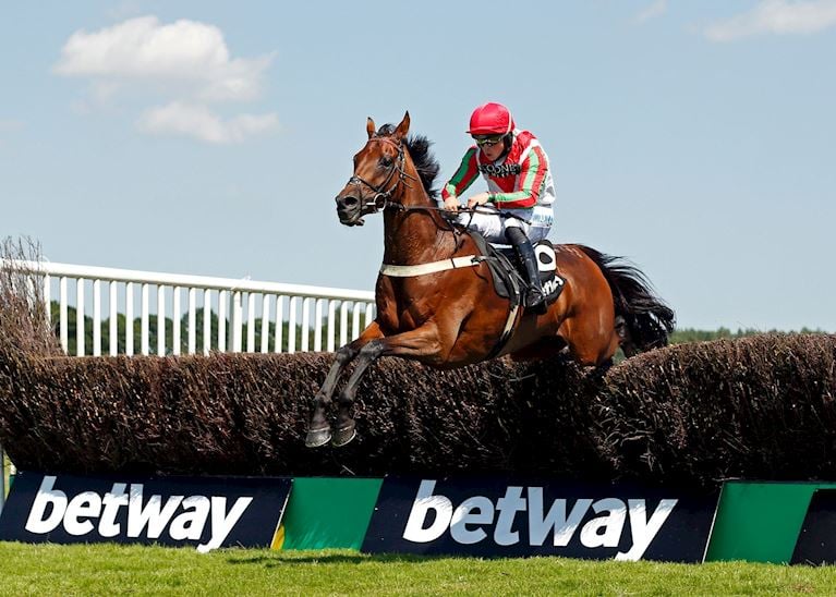 Seventh Success for Peter Bowen in Betway Summer Plate as Francky Du Berlais takes the honours