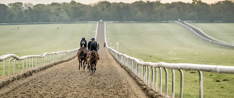 WIN THE ULTIMATE NEWMARKET EXPERIENCE