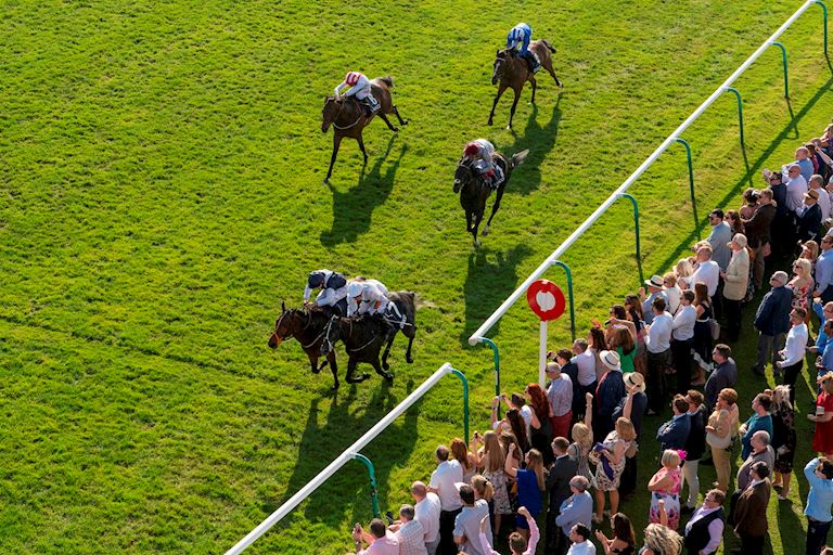 Newmarket Racecourses Annual Badges