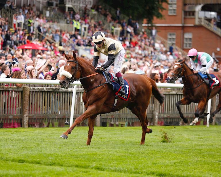 Jockey Club and Münchener Rennverein e.