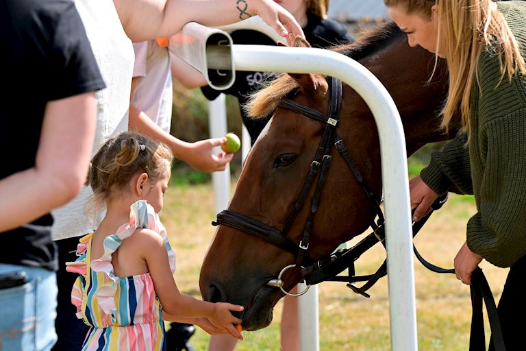 RETIRED EQUINE SUPERSTARS STEP BACK AND CONEYGREE WELCOMED AT LOWER GREEN COMMUNITY CENTRE