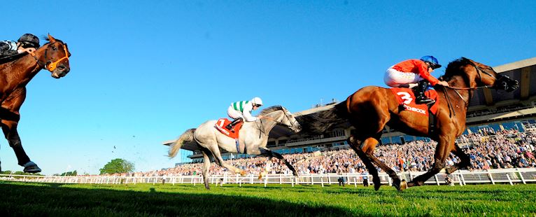 Sandown Park Enclosures & Stands