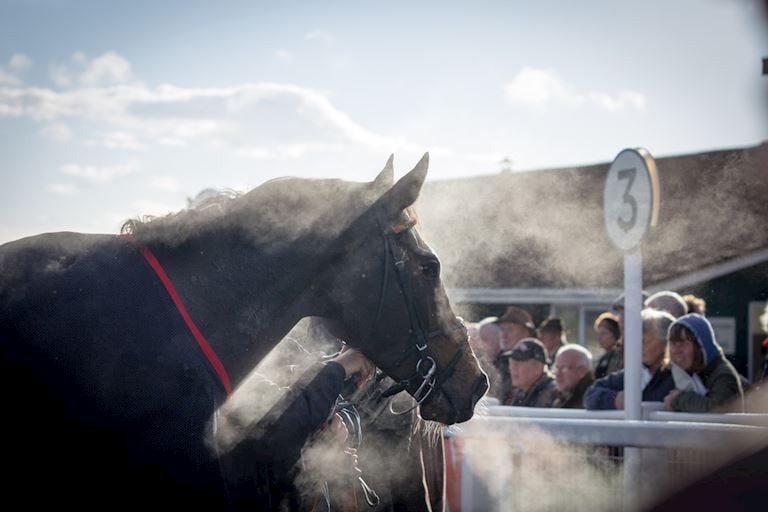 Sandown park Venue Accessibility