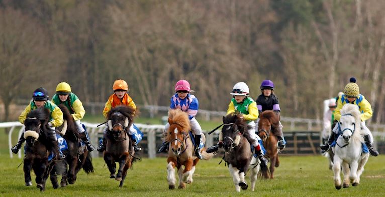 Shetland Pony Race 1.jpg